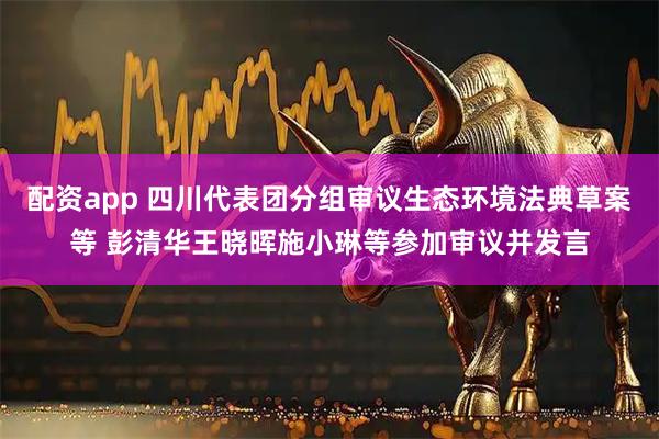 配资app 四川代表团分组审议生态环境法典草案等 彭清华王晓晖施小琳等参加审议并发言